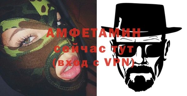 шишки Гусиноозёрск