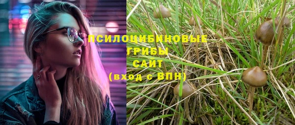 прущая мука Гусев